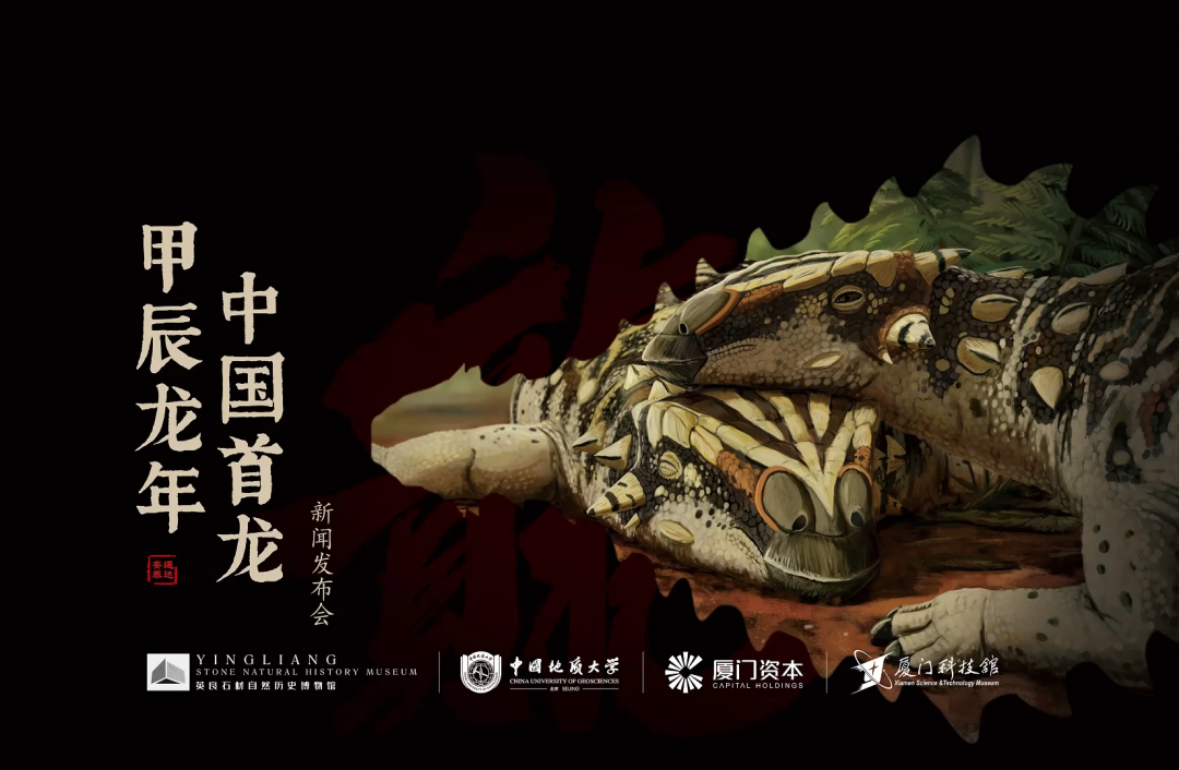 达泰龙发现地点